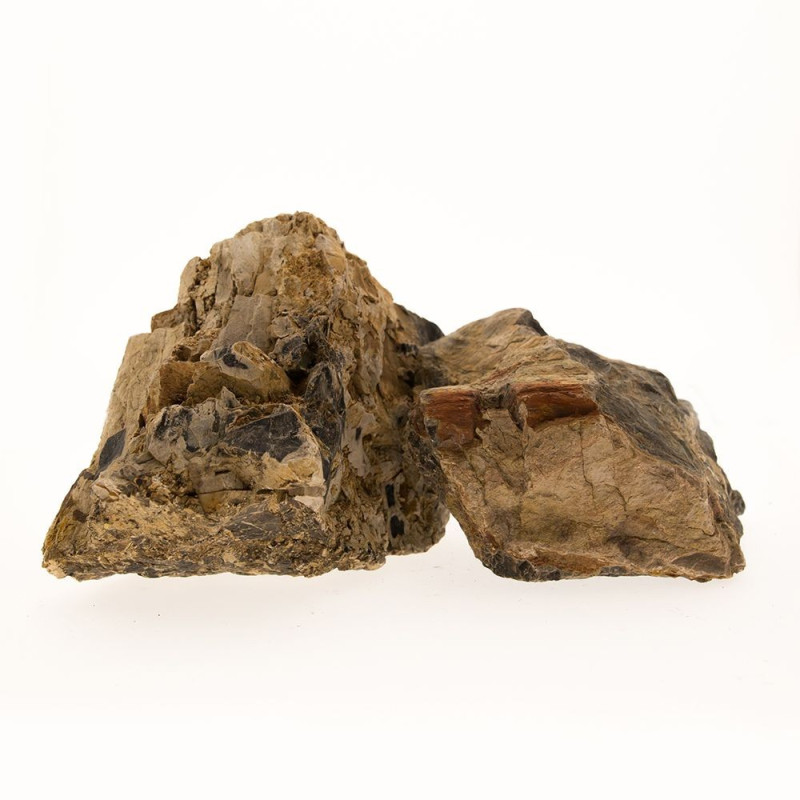 Madeira Petrificada