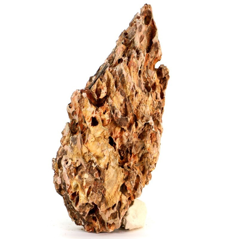 Dragon Stone