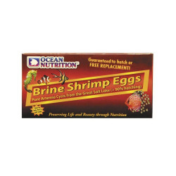 Ovos de Artêmia 50g Brine Shrimp Eggs - Ocean Nutrition Ovos de Artêmia 50g Brine Shrimp Eggs - Ocean Nutrition
