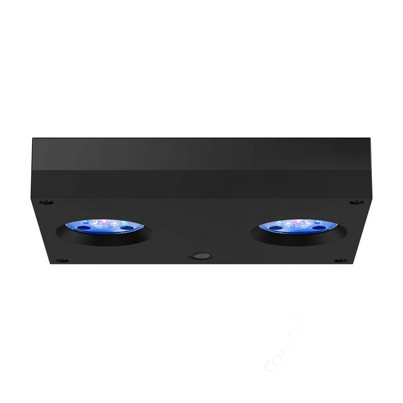 Hydra 64HD - Aqua Illumination