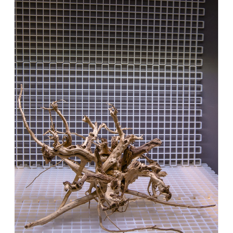 Madeira Bonsai Peça Nº27