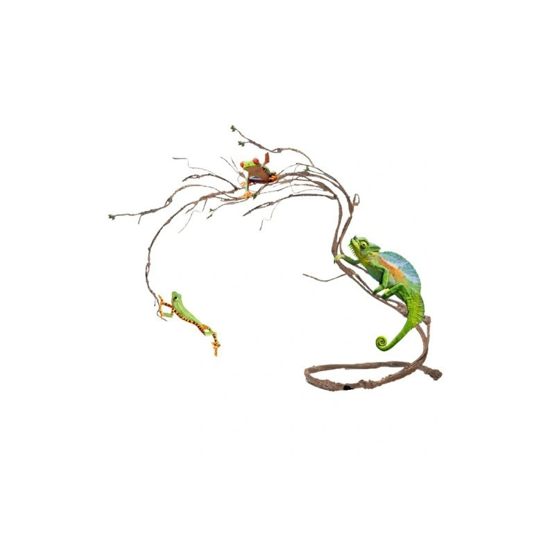 Jungle Vines - Lianes - Terratlantis