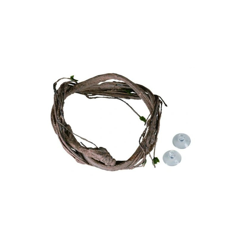 Jungle Vines - Lianes - Terratlantis