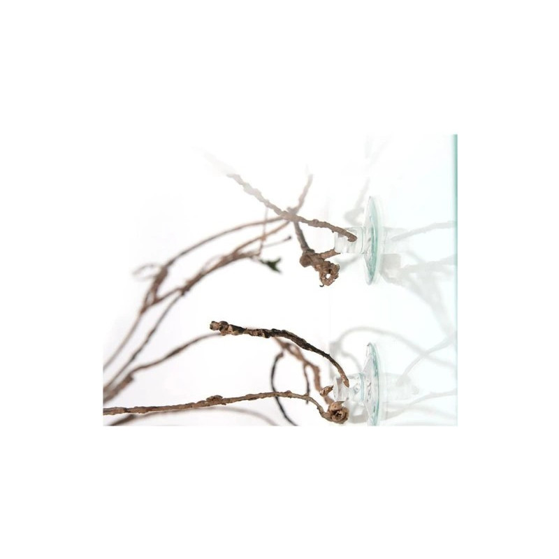 Jungle Vines - Lianes - Terratlantis