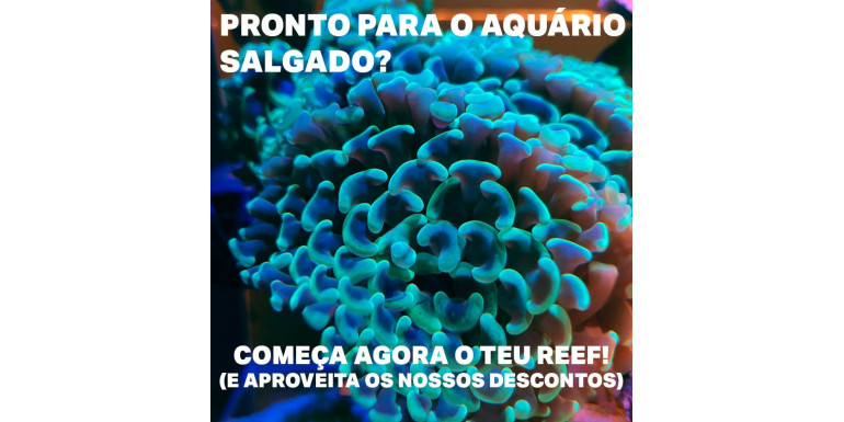 Promoções para o Reef e o Áquario Marinho - Junho 19