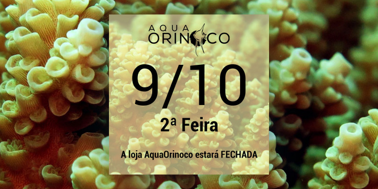 Anunciado Loja Fechada: Dia 9/10