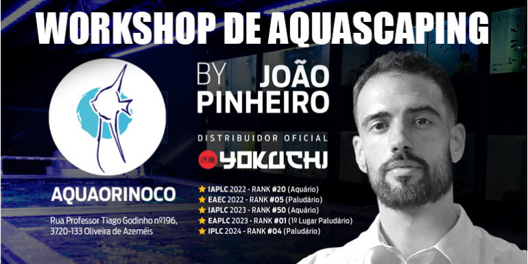 Workshop de Aquário/Paludário ao Vivo!