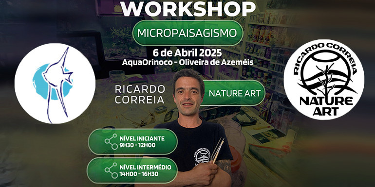 Workshop 6 de Abril