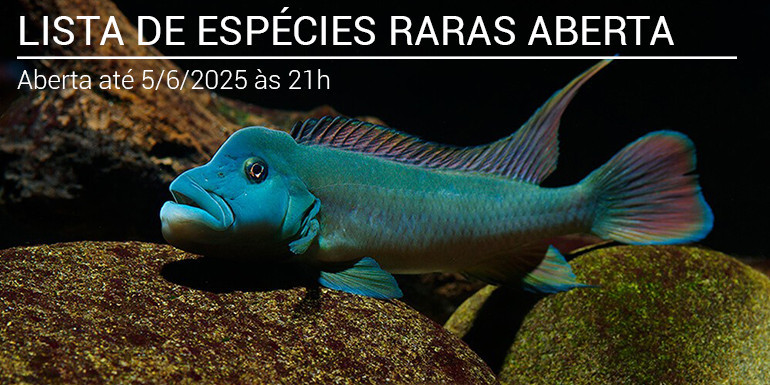Lista de espécies JUNHO 2025 (Fechada)