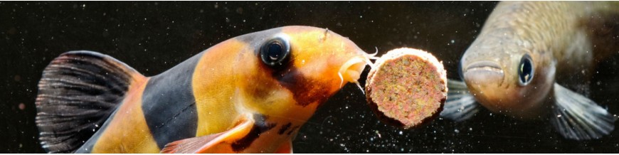 Alimentación y tratamiento