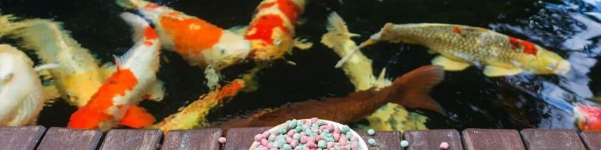 Alimento para peces de lago