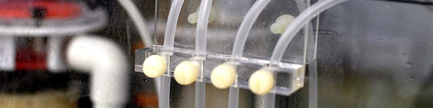 Accesorios de arrecife