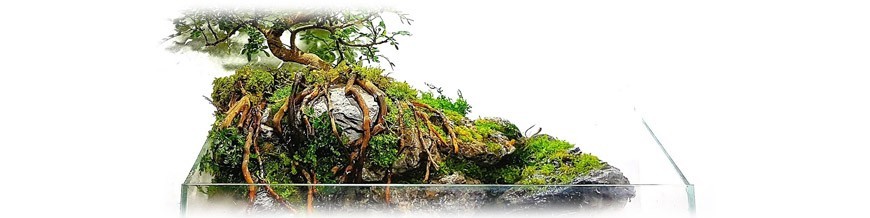 Paludarium