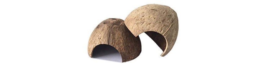 Decoraciones y Cuevas