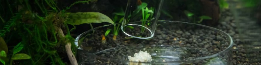 Accesorios - Alimentación