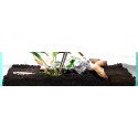 Nature Soils
