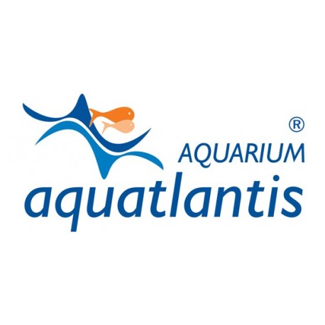 Aquatlantis
