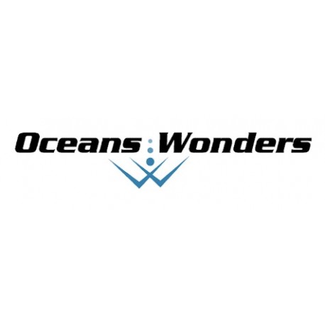 Ocean Wonders