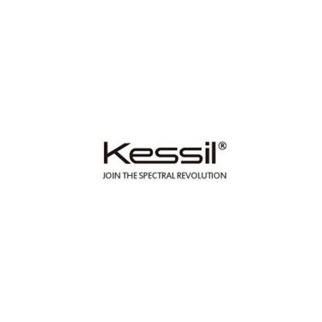Kessil