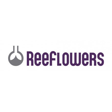ReeFlowers